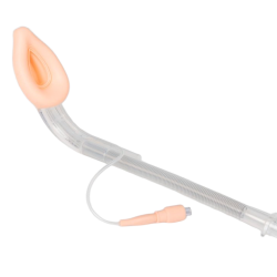 Laryngeal Mask Airway (ENT Type)
