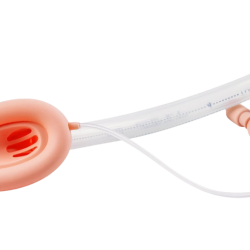 Laryngeal Mask Airway (Normal Type)