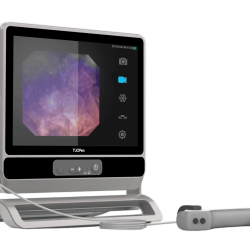 Single-use Flexible Ureteroscope